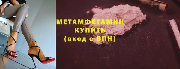 шишки Тайга