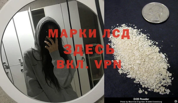 ГАЛЛЮЦИНОГЕННЫЕ ГРИБЫ Заводоуковск