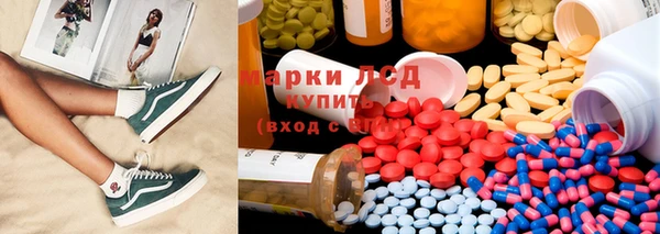 ГАЛЛЮЦИНОГЕННЫЕ ГРИБЫ Заводоуковск